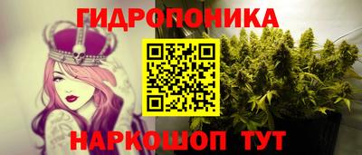 jwh Лесосибирск