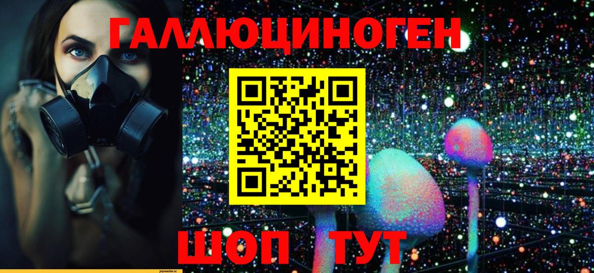 Кинешма  Галлюциногенные грибы Magic Shrooms  Вход с VPN 